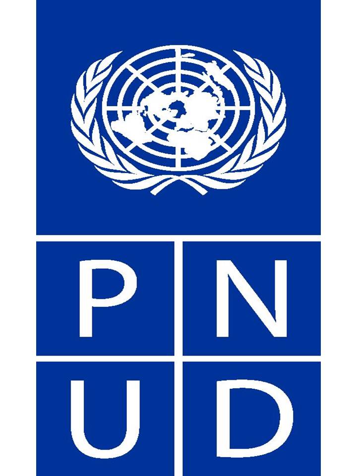 logo-pnud